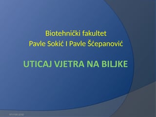 Uticaj vetra na biljke