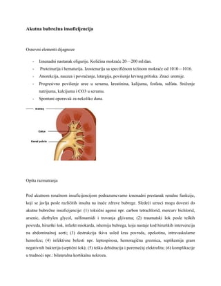 Bubrežne insuficijencije