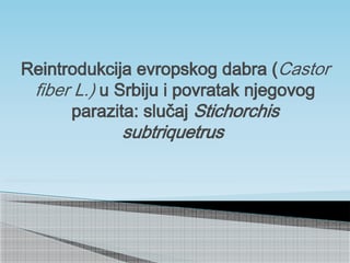 Reintrodukcija evropskog dabra