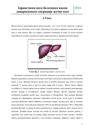 Zdravstvena nega bolesnika nakon laparaskopske operacije žučne kese