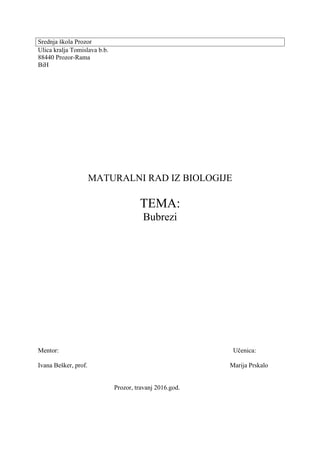 Bubrezi: maturalni rad iz biologije