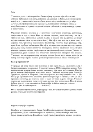 Velebilje (atropa belladonna): karakteristike, uzgoj i upotreba