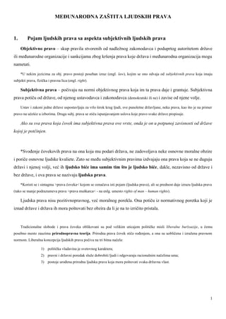 Međunarodna zaštita ljudskih prava