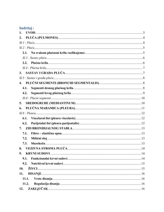 Anatomija i fiziologija pluća: seminarski rad