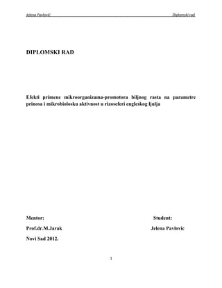 Efekti primene mikroorganizama-promotora biljnog rasta na parametre prinosa i mikrobiološku aktivnost u rizoseferi engleskog ljulja