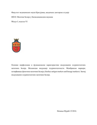 Indukovane pluripotentne matične ćelije