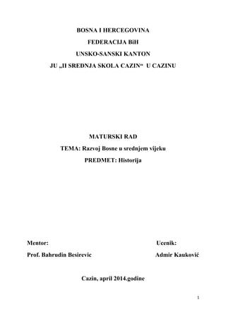 Historijski razvoj stare Bosne