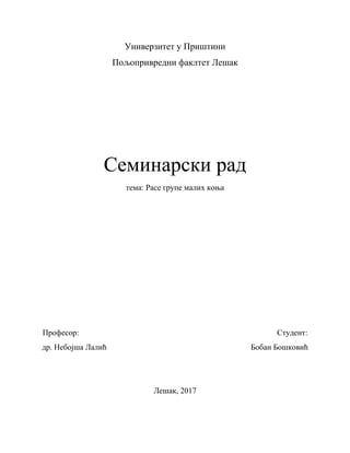 Rase grupe malih konja