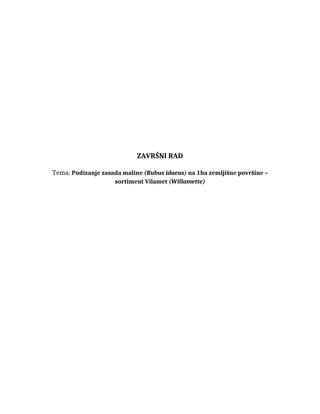 Podizanje zasada maline (Rubus idaeus) na 1ha zemljišne površine –  sortiment Vilamet (Willamette)