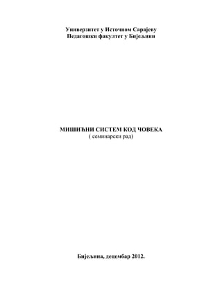 Mišićni sistem kod čoveka