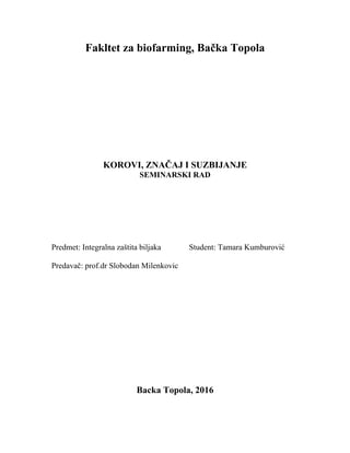 Korovi, značaj i suzbijanje