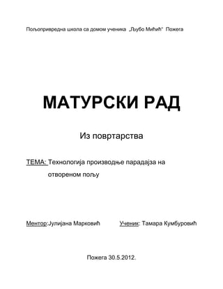 Tehnologija proizvodnje paradajza na otvorenom polju