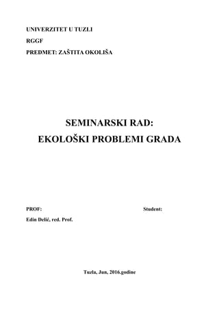 Ekološki problemi grada
