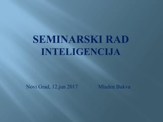 Inteligencija