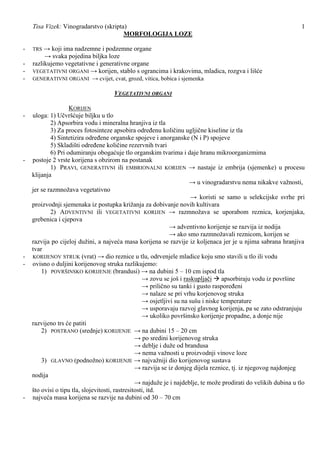 Vinogradarstvo-morfologija loze