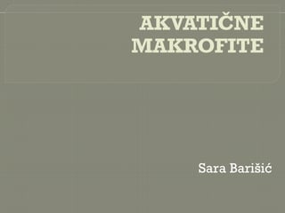 Akvatične makrofite