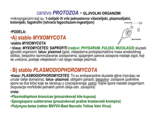 Osnovi fitopatologije: Carstvo Protozoa