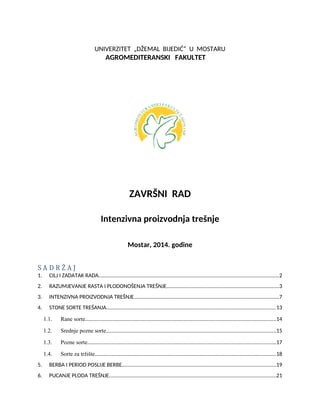 Intenzivna proizvodnja trešnje