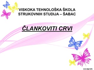 Člankoviti crvi