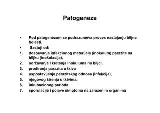 Patogeneza