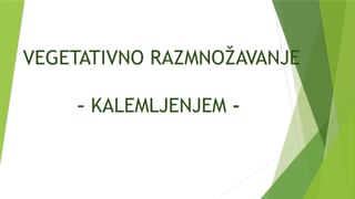 Vegetativno razmnožavanje – kalemljenje