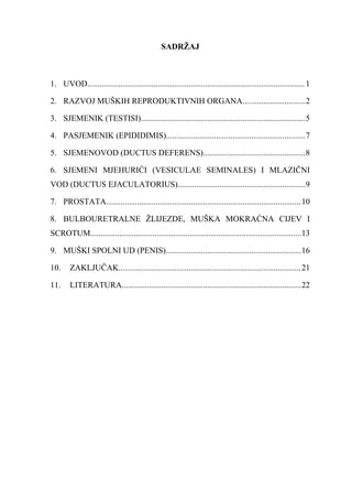 Muški reproduktivni organi