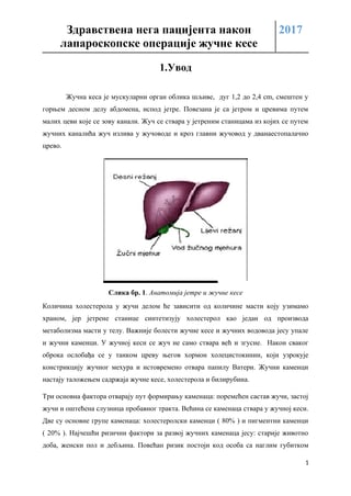 Zdravstvena nega pacijenta nakon laparoskopske operacije žučne kese