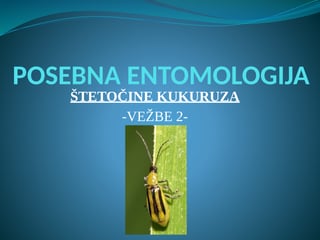 Entomologija-štetočine kukuruza