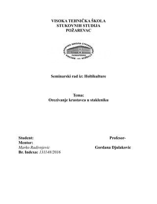 Orezivanje krastavca u stakleniku