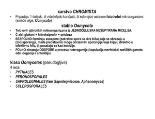 Osnovi Fitopatologije: Carstvo Chromista (1. deo)