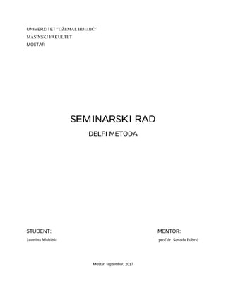 Delfi metoda
