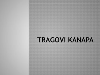 Tragovi kanapa