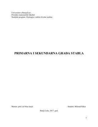 Primarna i sekundarna građa stabla