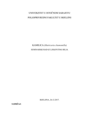 Kamilica (matricaria chamomilla): agroekološki zahtevi i gajenje