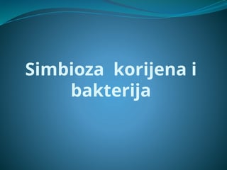 Simbioza korena i bakterija