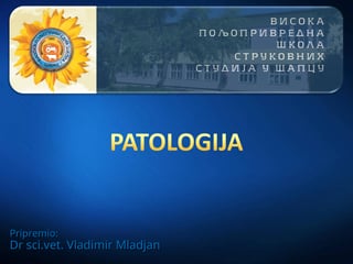 Patologija