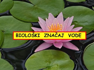 Biološki značaj vode
