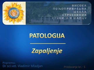 Zapaljenja – Patologija