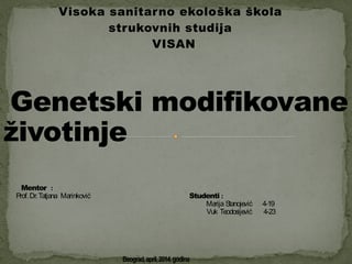 Genetski modifikovane životinje