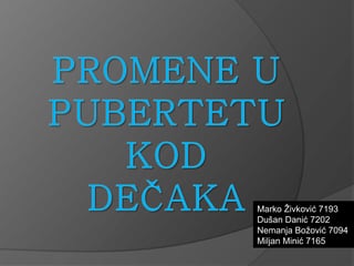 Šta je pubertet: promene kod dečaka