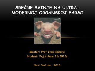 Srećne svinje