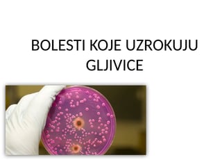 Bolesti koje uzrokuju gljivice
