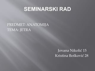 Jetra: anatomija, funkcije i oštećenja