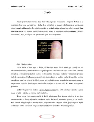 Deformacija noktiju na nogama i nihova obrada preventivne mere zaštita od mogućih povreda i infekcija pri radu