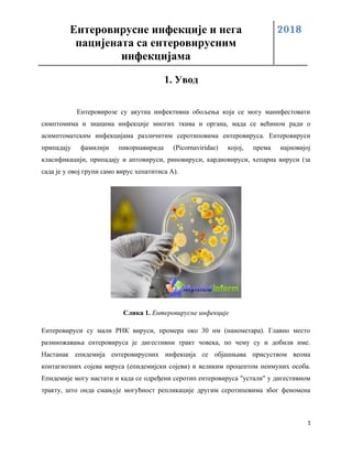 Enterovirusne infekcije i nega pacijenata sa enterovirusnim infekcijama