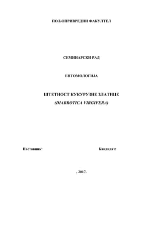 Štetnost kukuruzne zlatice