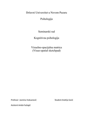 Vizuelno-spacijalna matrica
