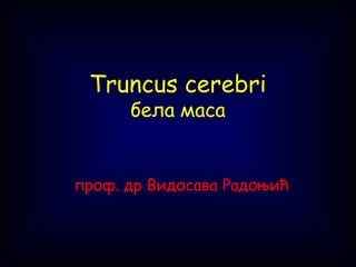 Bela masa moždanog stabla