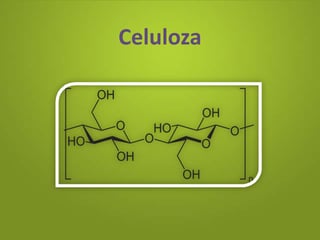 Celuloza: prezentacija o strukturi i svojstvima