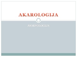Akarologija